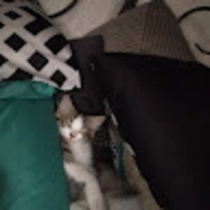 Meet your Posher, Kellie